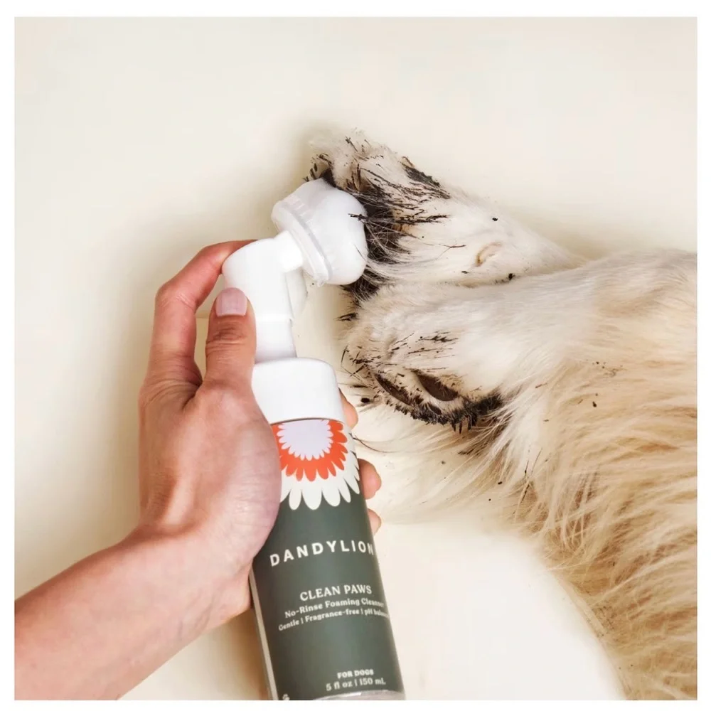 Dandylion Refill Clean Paws No-Rinse Foaming Cleanser for Dogs 10 floz FREE SHIP